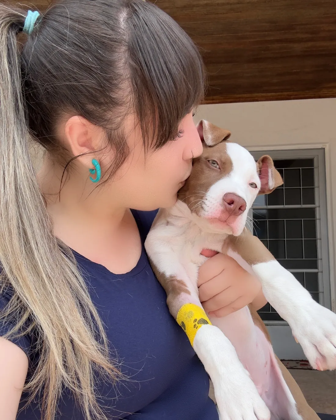 Dra Tay dando um beijo num filhote de pit bull no colo